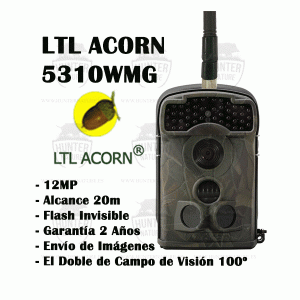 LTL Acorn 5310 WMG