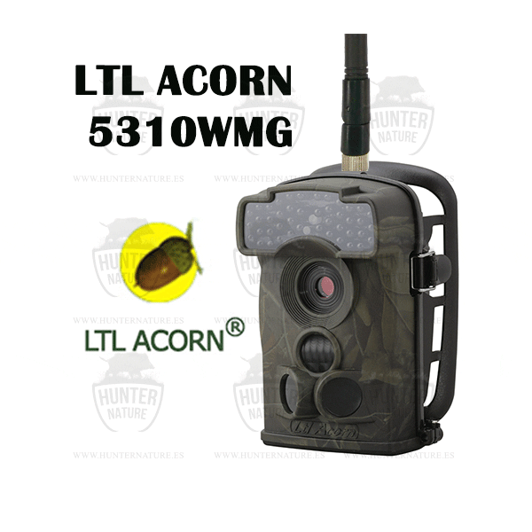 LTL Acorn 5310 WMG