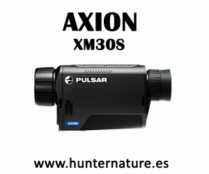 pulsar-axion-xm30s