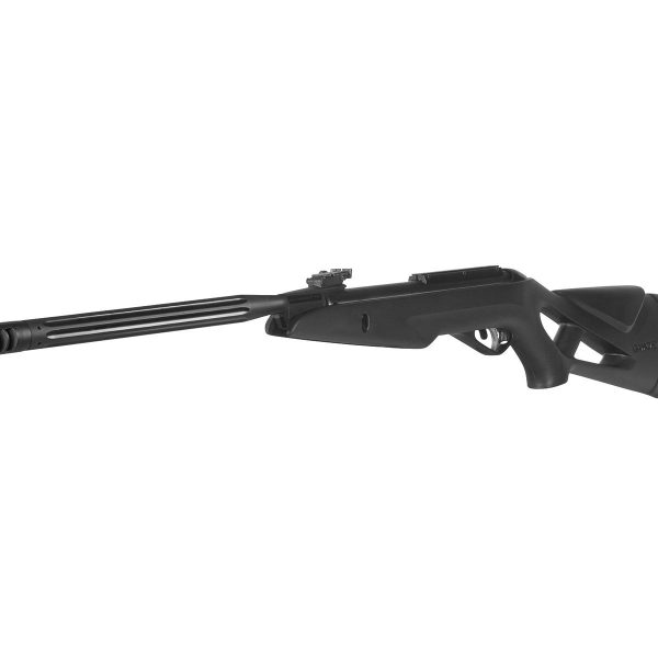 Carabina Gamo Whisper Maxxim IGT