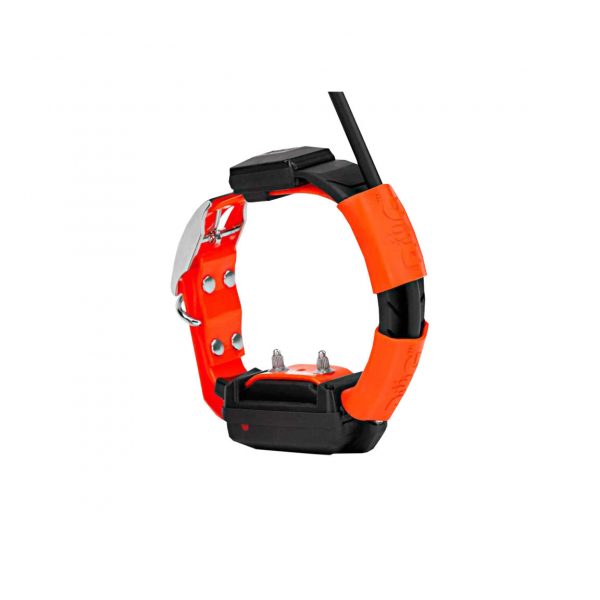Pack collar + mando DogTrace X30-T