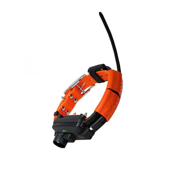 Pack collar y mando localizador GPS DogTrace X30-TB