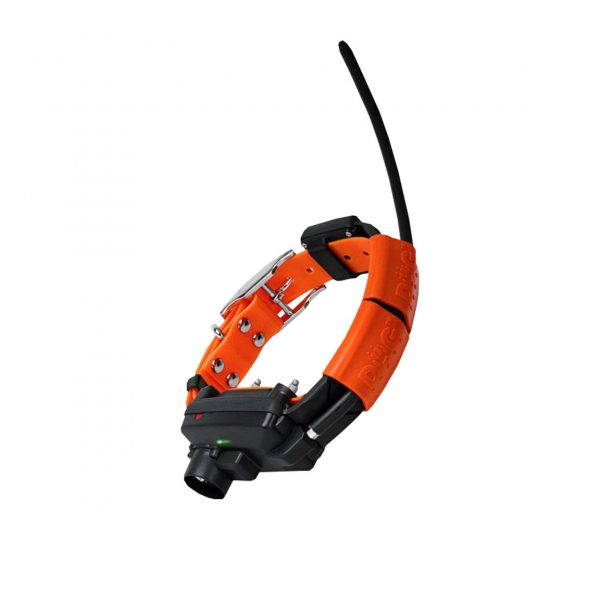 Collar localizador GPS DogTrace X25-TB